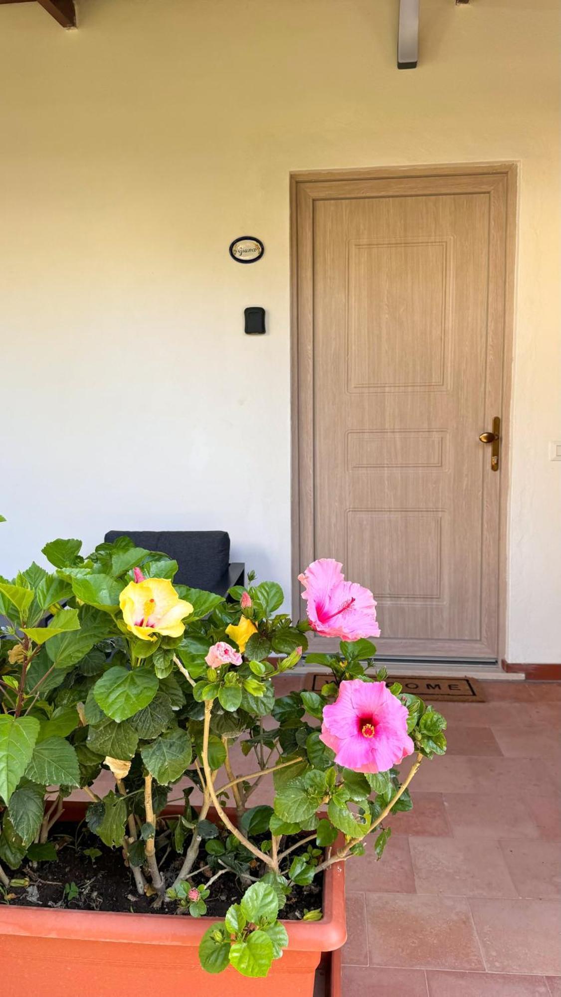 Il Cigno B&B Capri Exterior foto