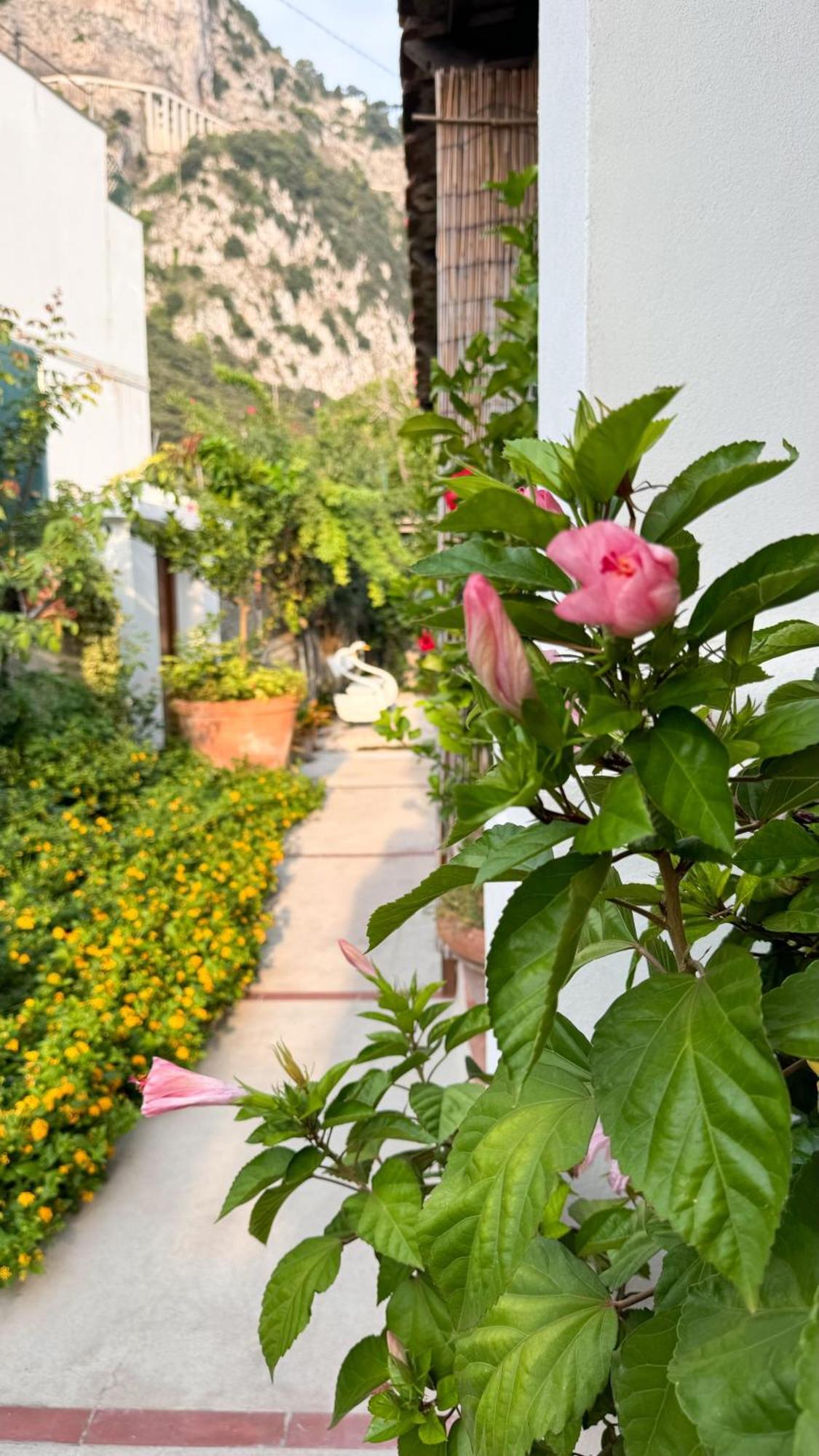 Il Cigno B&B Capri Exterior foto